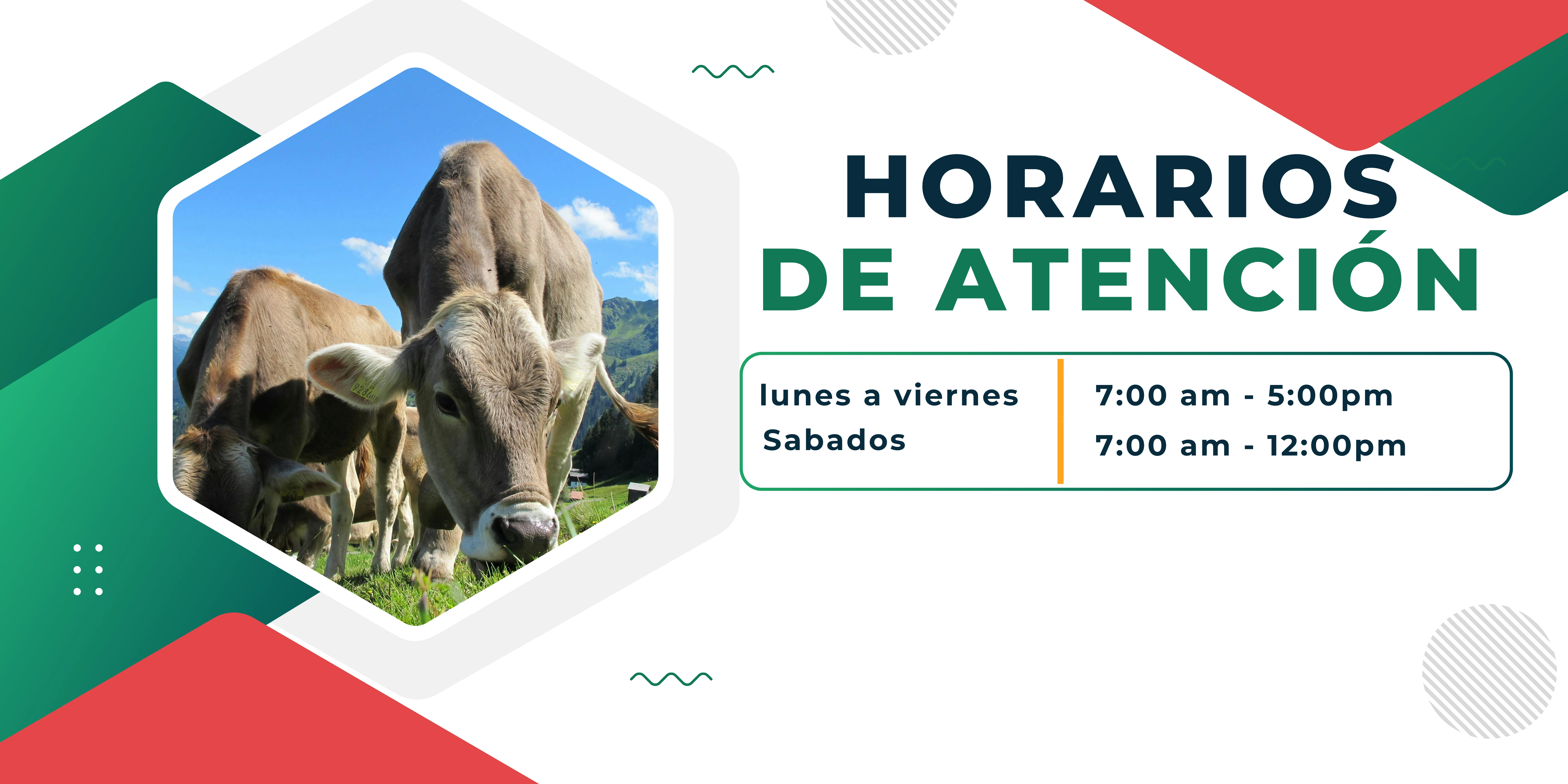 Horario de atención