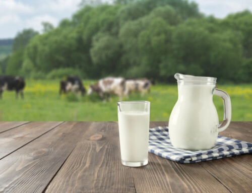 Beneficios de la leche de vaca en los niños.